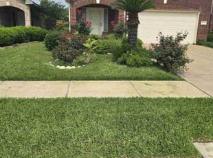 Cecillia M.'s lawn service service result