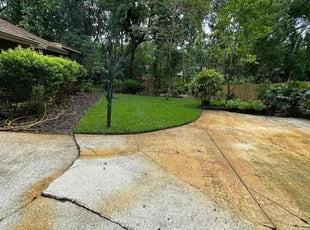 June Y.'s lawn care service result