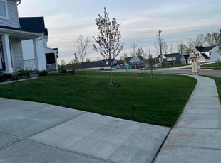 Vijay G.'s turf maintenance service result