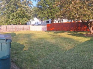 Brenda G.'s lawn care service result