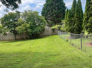 Joshua J.'s turf maintenance service result