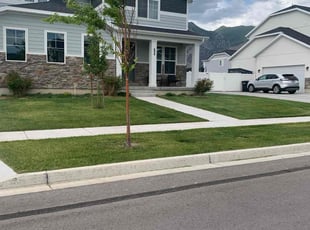 Joseph G.'s lawn care service result