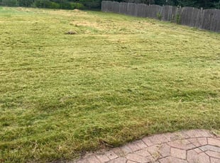 Tom R.'s lawn service service result