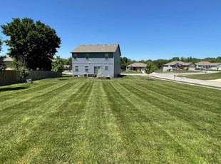David R.'s turf care service result