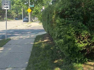 Darren S.'s Bush Trimming service result