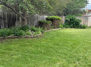 Alisa P.'s turf care service result