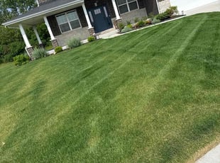 Kyle S.'s lawn maintenance service result