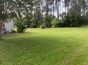 Beatrice M.'s grass maintenance service result