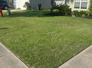 Chelsea P.'s grass maintenance service result