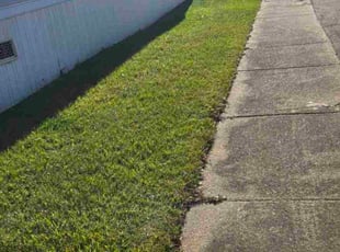 Nicole G.'s lawn service service result