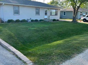 Vincent T.'s lawn service service result