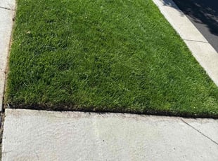 Betsy W.'s grass cutting service result