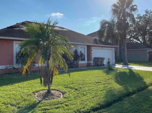 Nicholas A.'s Long Grass Cleanup service result