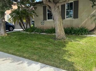 Judy B.'s lawn care services service result