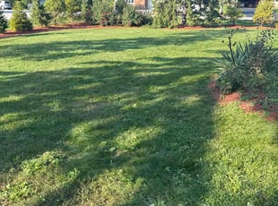 Odessa G.'s lawn care services service result