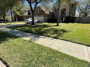 James W.'s yard care service result