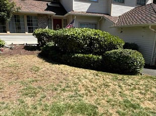 Paula S.'s grass cutting service result