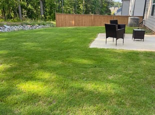 Paul C.'s lawn care services service result