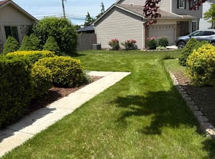 Darlene H.'s turf maintenance service result