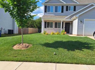 Lavonda H.'s lawn maintenance service result