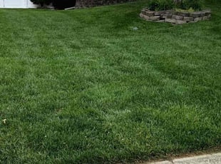 Justin M.'s lawn care service result