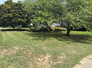 Kearon T.'s grass cutting service result