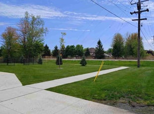 Dorothy O.'s grass maintenance service result