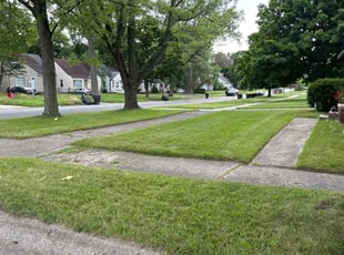June H.'s lawn service service result