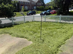 Motty M.'s turf maintenance service result