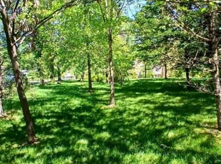 Lytrell B.'s turf maintenance service result