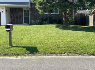 Peter M.'s grass maintenance service result