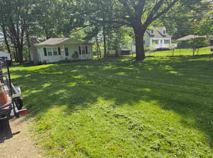 Christina D.'s grass maintenance service result
