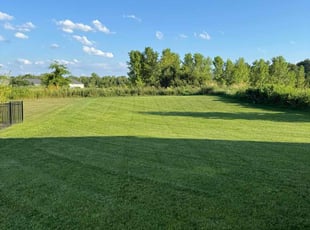 Debra P.'s grass cutting service result