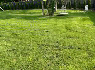 Victoria R.'s lawn maintenance service result