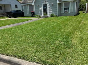 Lexie R.'s lawn service service result