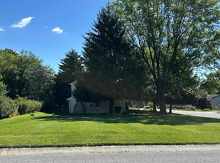 Sharon W.'s grass maintenance service result