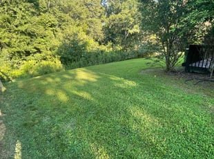Barbara F.'s turf care service result
