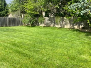 Laurie V.'s lawn maintenance service result