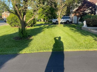 Frances R.'s lawn care service result