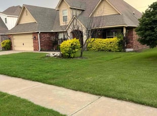 Kelley B.'s lawn care services service result