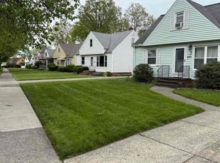 Steve T.'s lawn maintenance service result