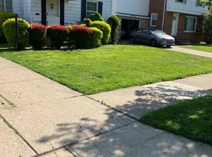 Julie H.'s turf maintenance service result