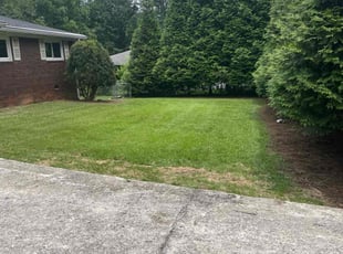 Destinee M.'s lawn care services service result