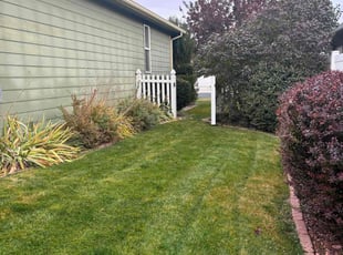 Jennifer G.'s turf maintenance service result