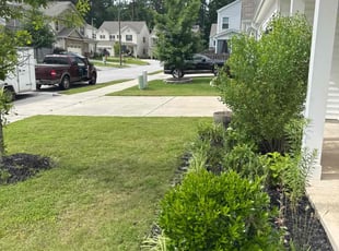 Molly C.'s lawn care services service result