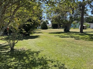 Angelique S.'s lawn care service result