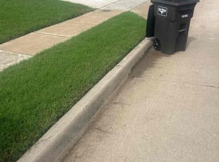 Perry H.'s lawn service service result