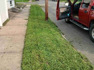 Jin C.'s grass maintenance service result