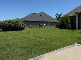 Curtis G.'s turf care service result