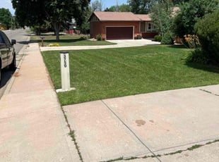 Linda L.'s lawn care services service result